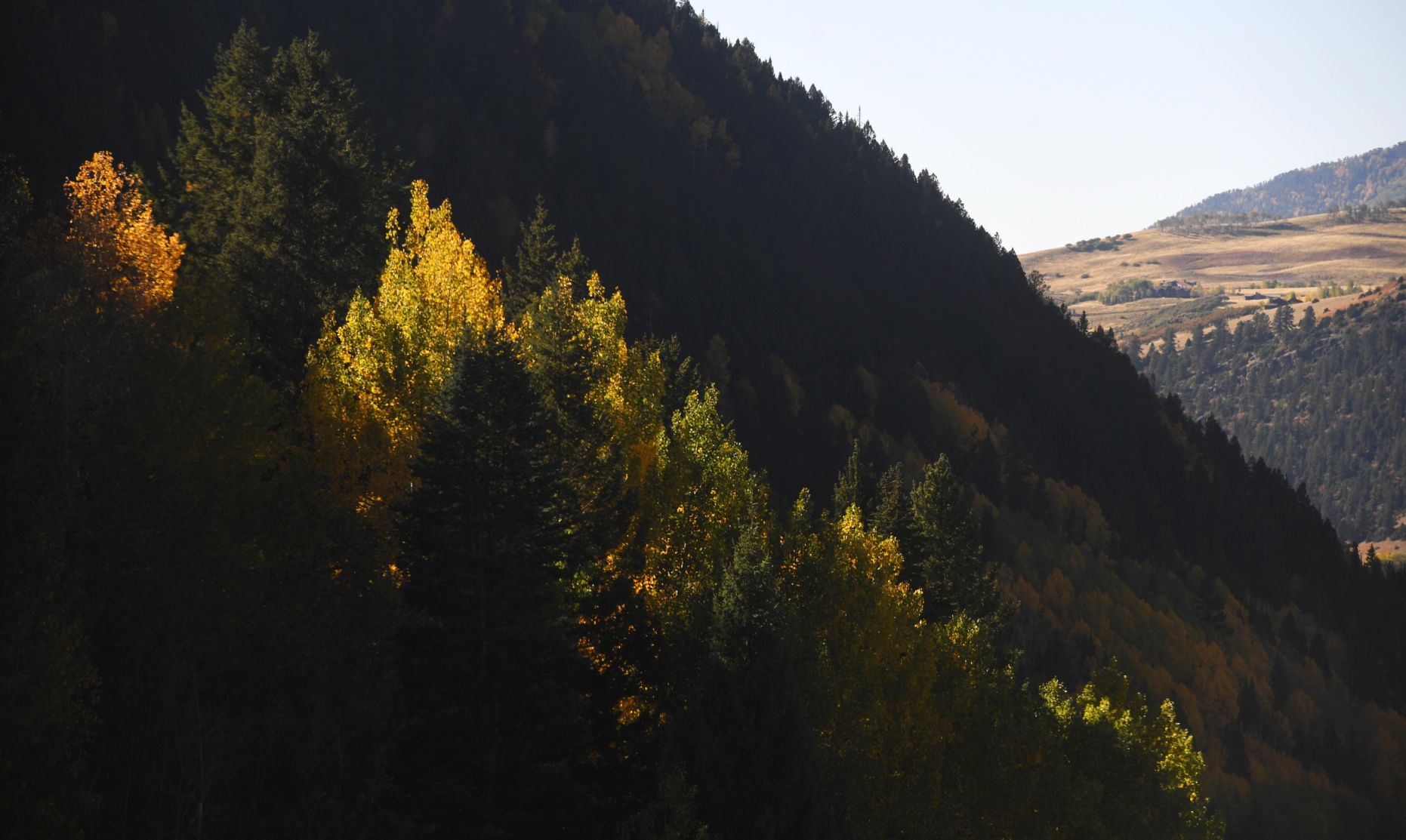 100619-news-aspens 59.JPG